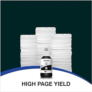 Epson High page yield monochrome Printers